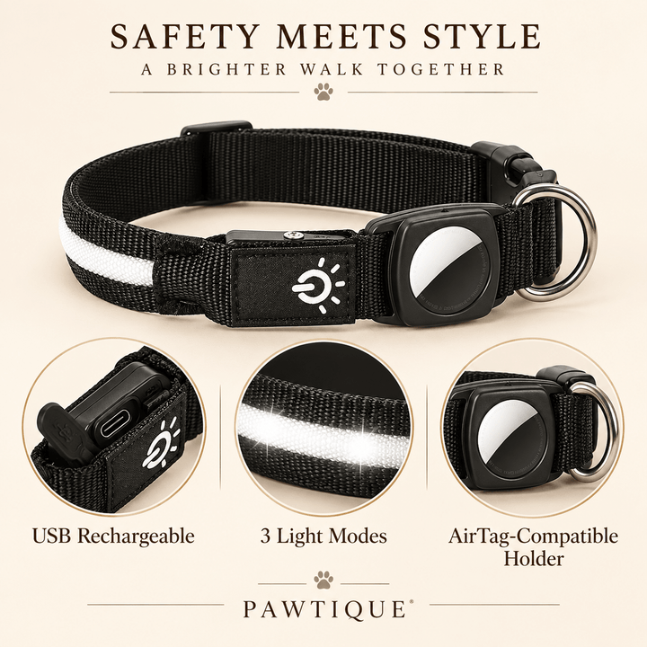 Pawtique GlowTrack™ LED Reflective AirTag Dog Collar - Pawtique