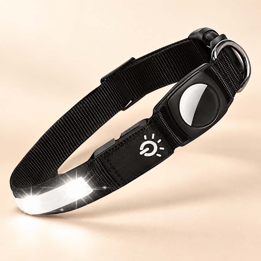 Pawtique GlowTrack™ LED Reflective AirTag Dog Collar - Pawtique