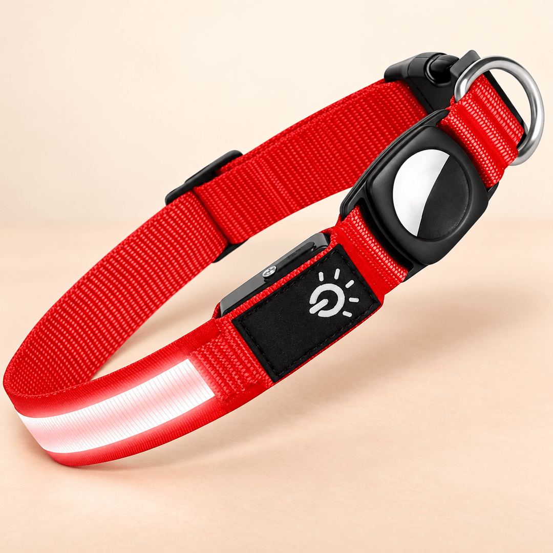 Pawtique GlowTrack™ LED Reflective AirTag Dog Collar - Pawtique