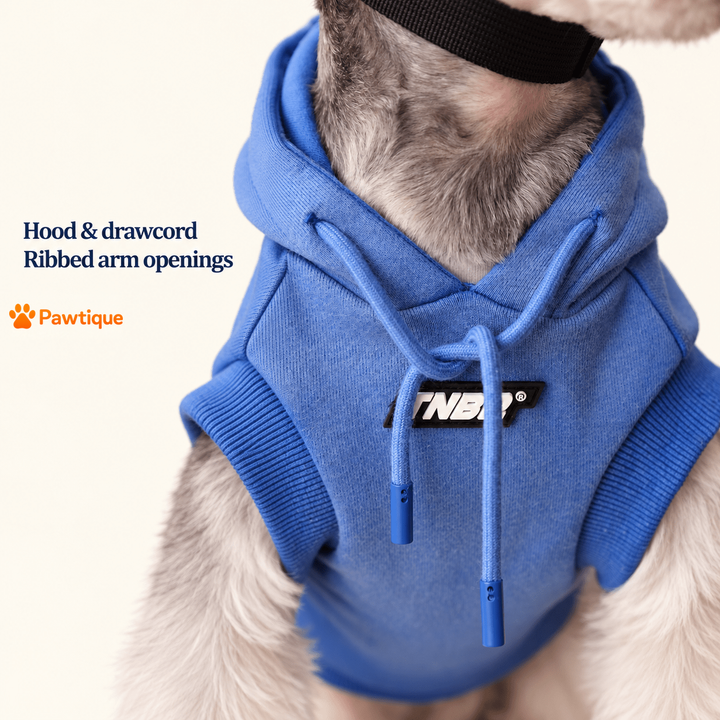 Hood, matching drawcords and ribbed arm openings with original chest patch