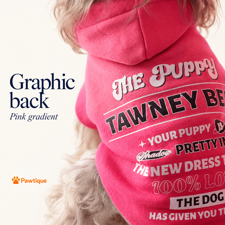 Original graphic print on the pink gradient hoodie back