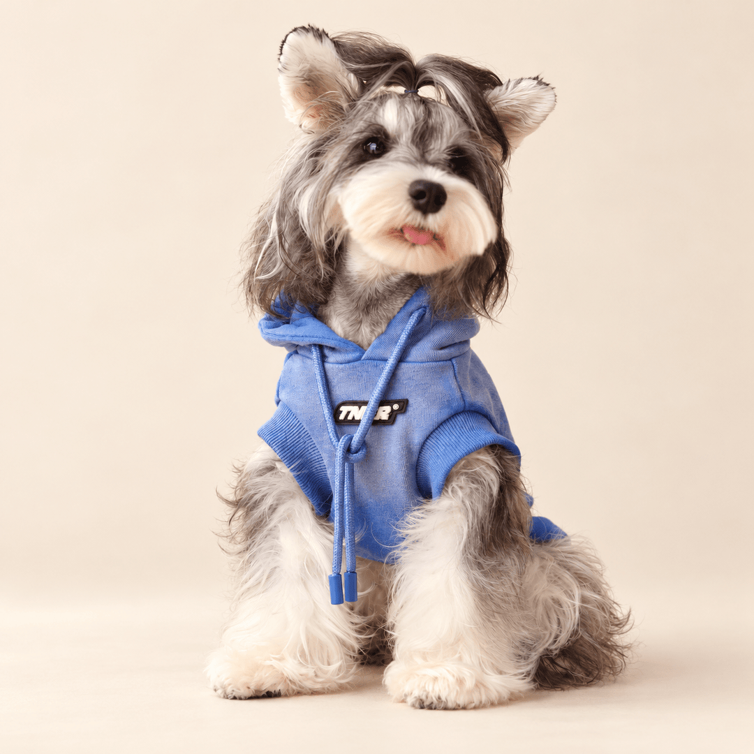 Pawtique Gradient Graphic Dog Hoodie - Pawtique