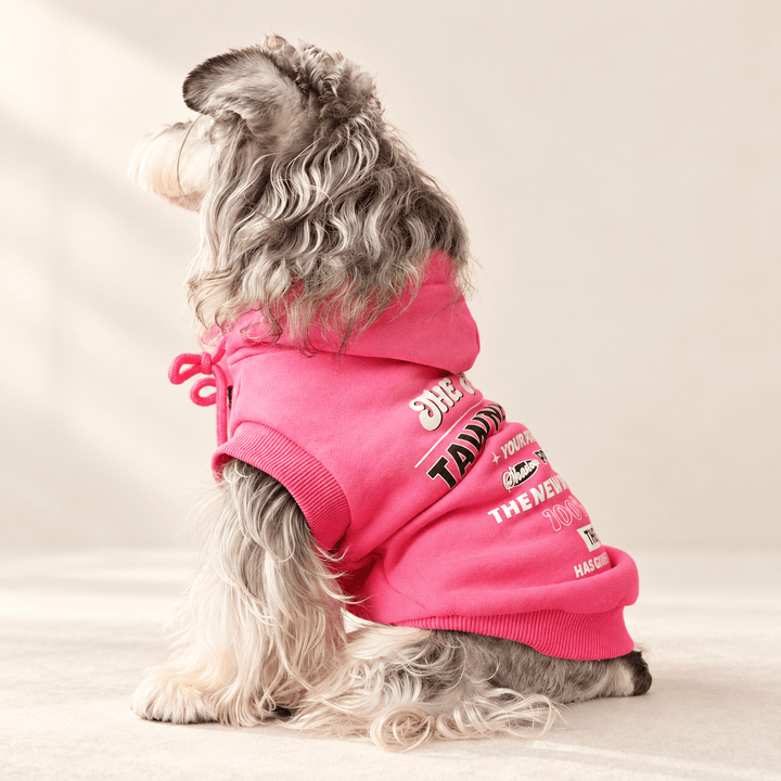 Pawtique Gradient Graphic Dog Hoodie - Pawtique