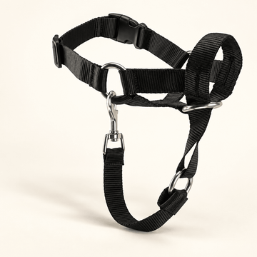 Pawtique GuideFit™ Anti-Pull Dog Head Halter - Pawtique