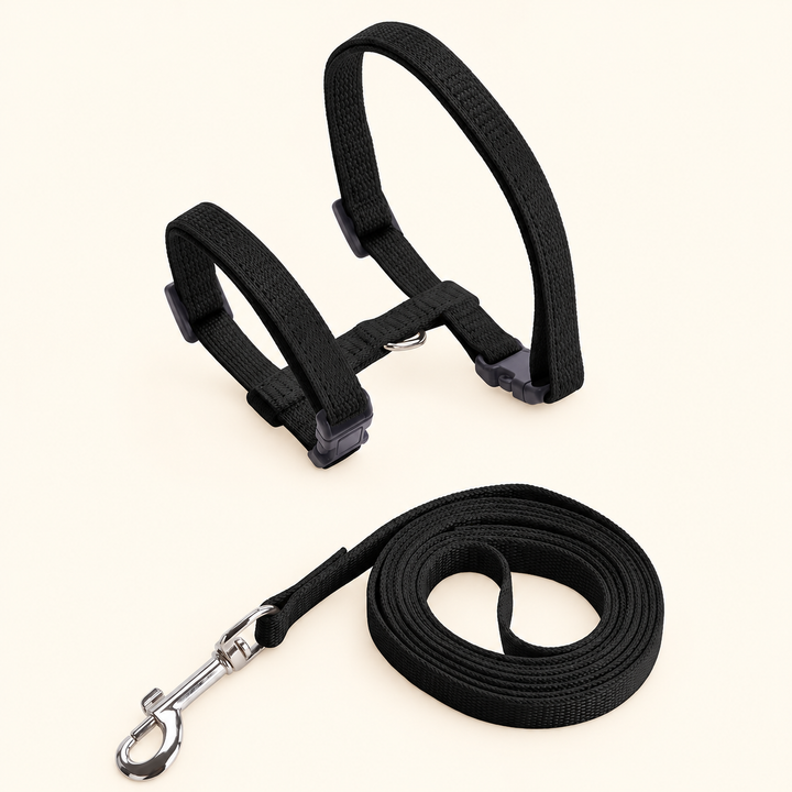Black H-shape harness and matching coiled leash on cream background