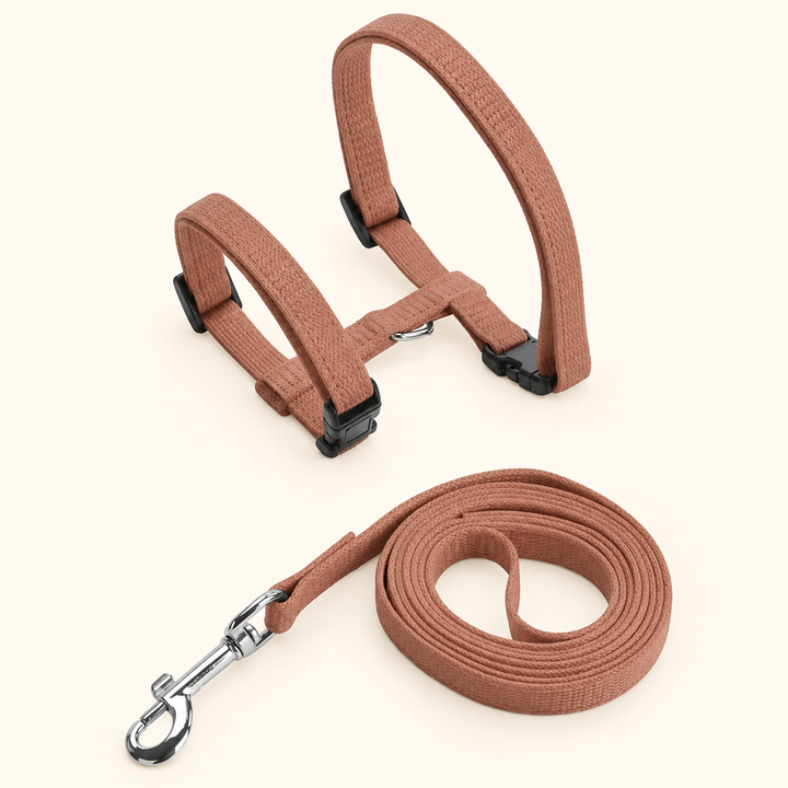 brown H-shape harness and matching coiled leash on cream background