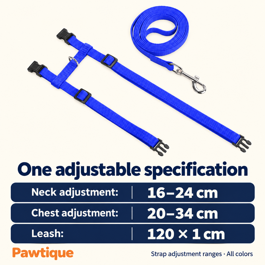 H-shape harness adjustment guide: neck 16–24 cm, chest 20–34 cm, leash 120 by 1 cm