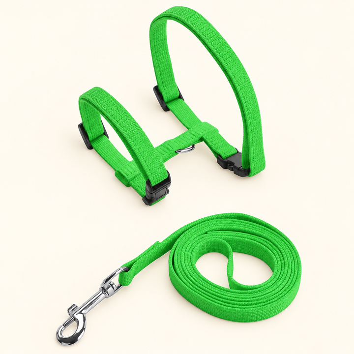 Green H-shape harness and matching leash