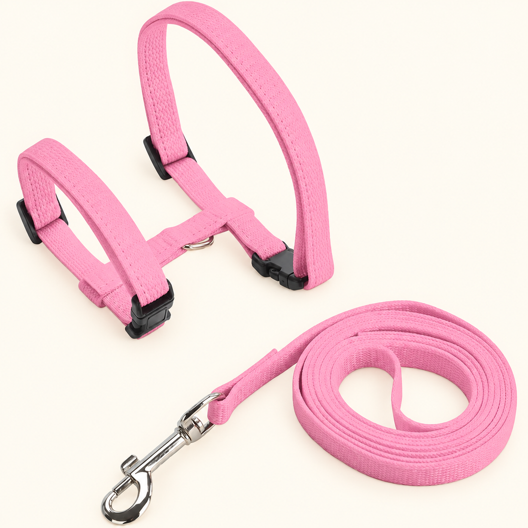 Pink H-shape harness and matching leash
