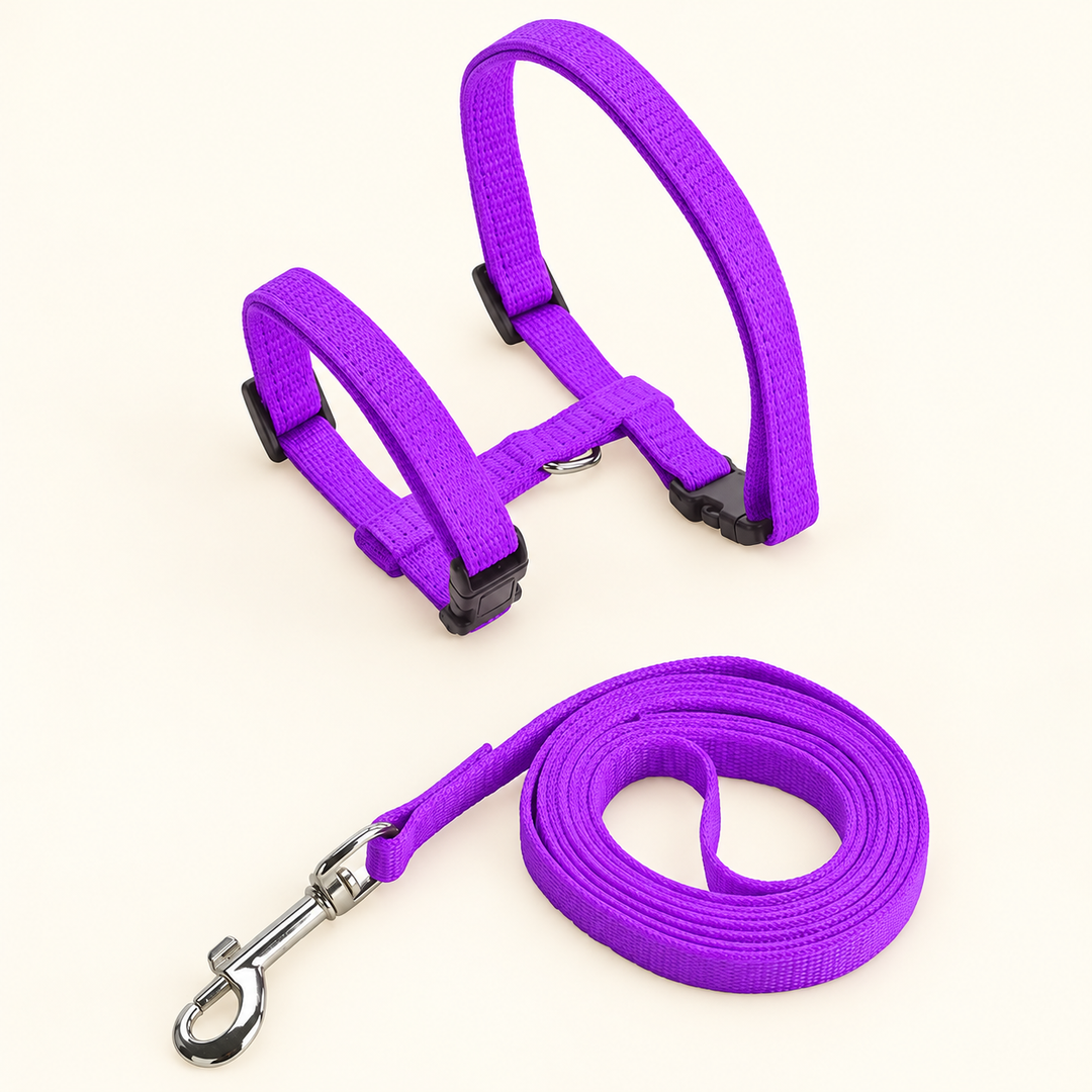 purple H-shape harness and matching coiled leash on cream background