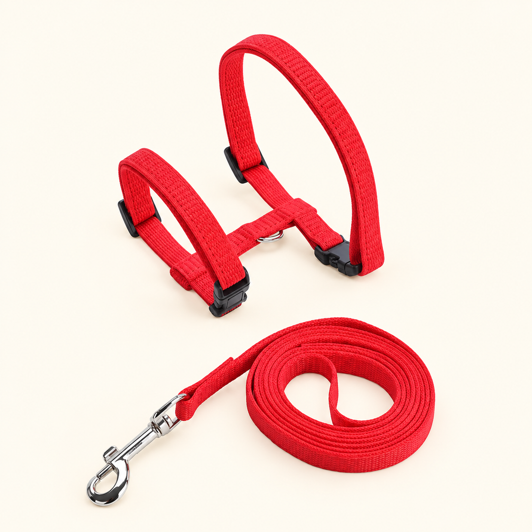 Red H-shape harness and matching leash