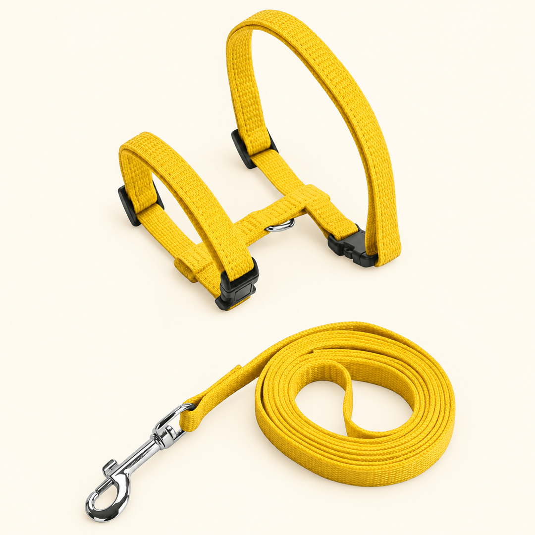 Yellow H-shape harness and matching leash