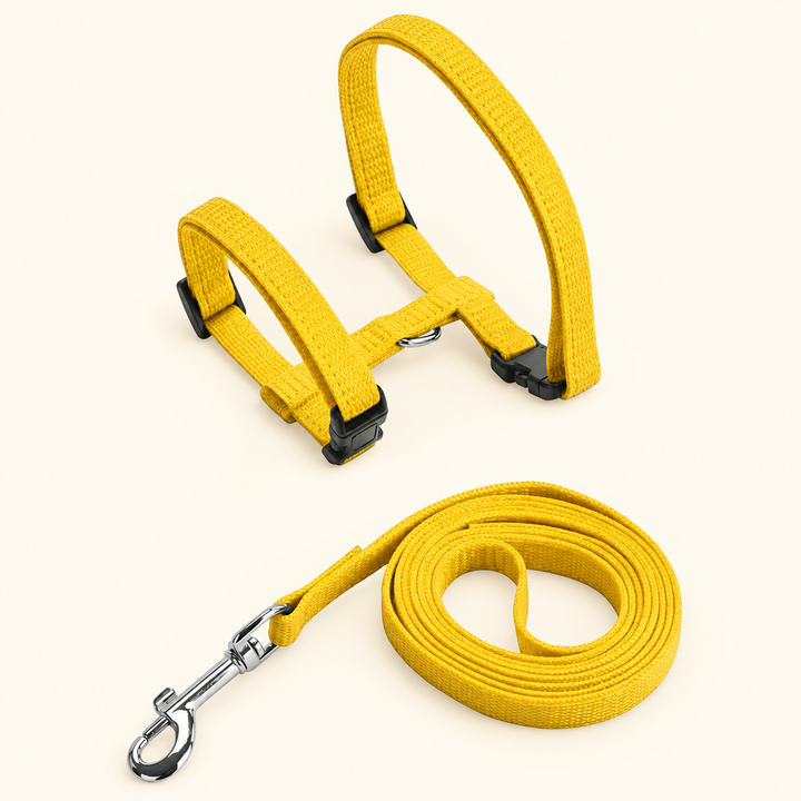 Yellow H-shape harness and matching leash