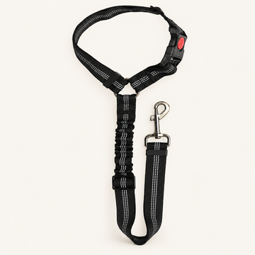 Black headrest-loop dog tether with bungee strap and swivel clip