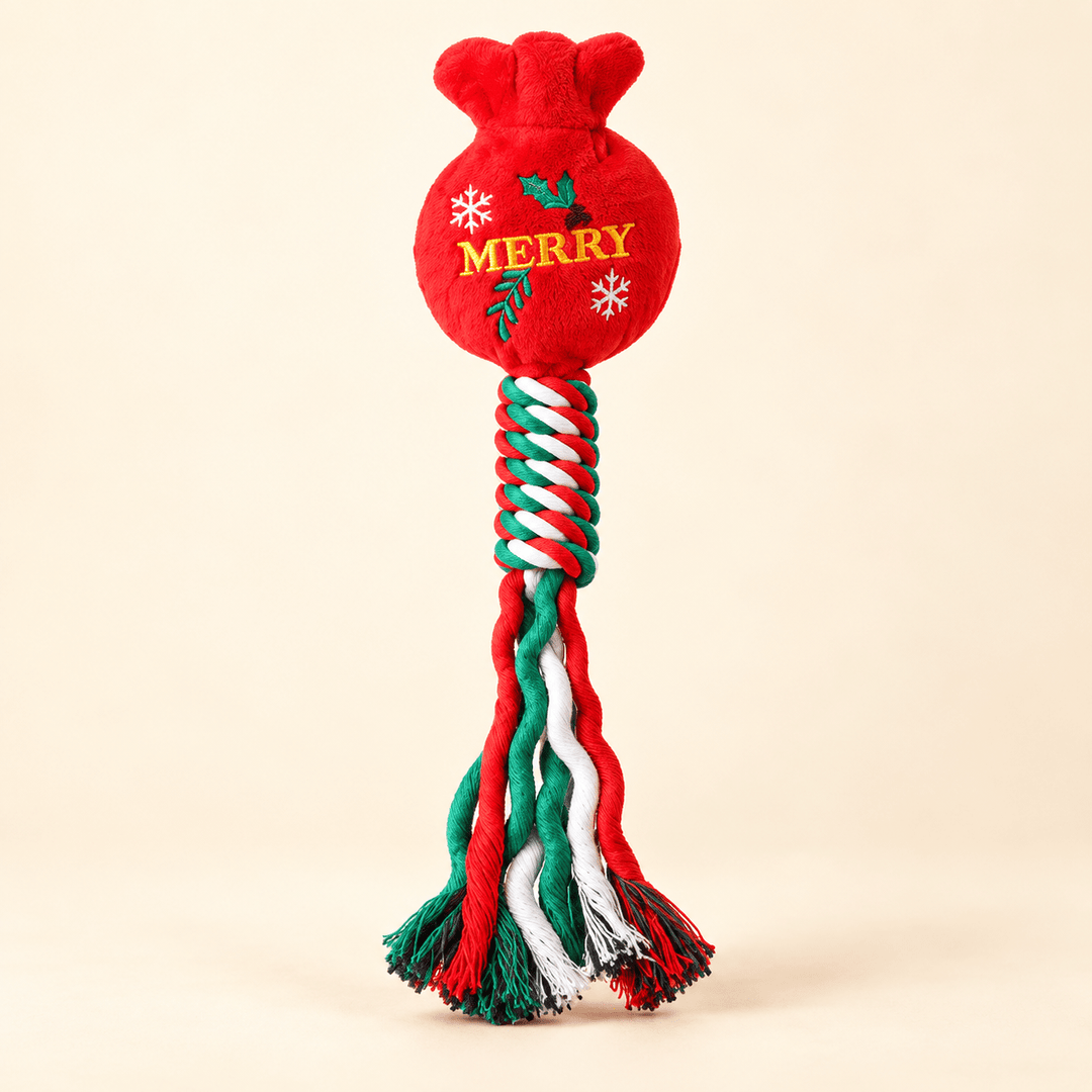 Pawtique Holiday Plush &amp; Rope Squeaky Dog Toy - Pawtique
