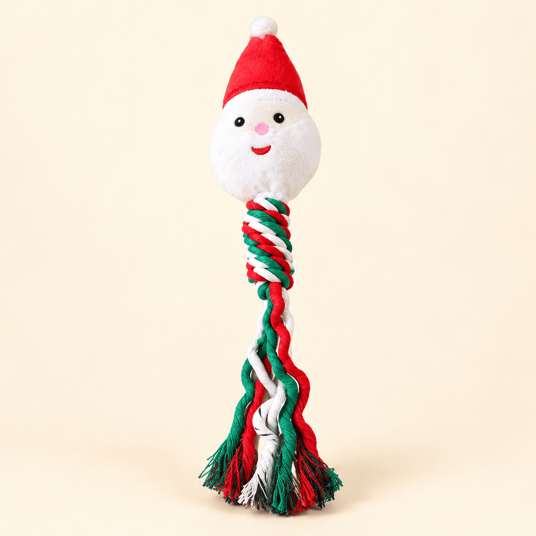 Pawtique Holiday Plush & Rope Squeaky Dog Toy - Pawtique