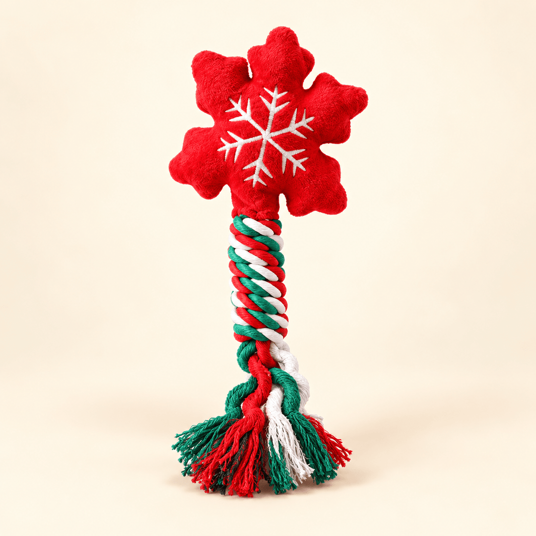 Pawtique Holiday Plush &amp; Rope Squeaky Dog Toy - Pawtique