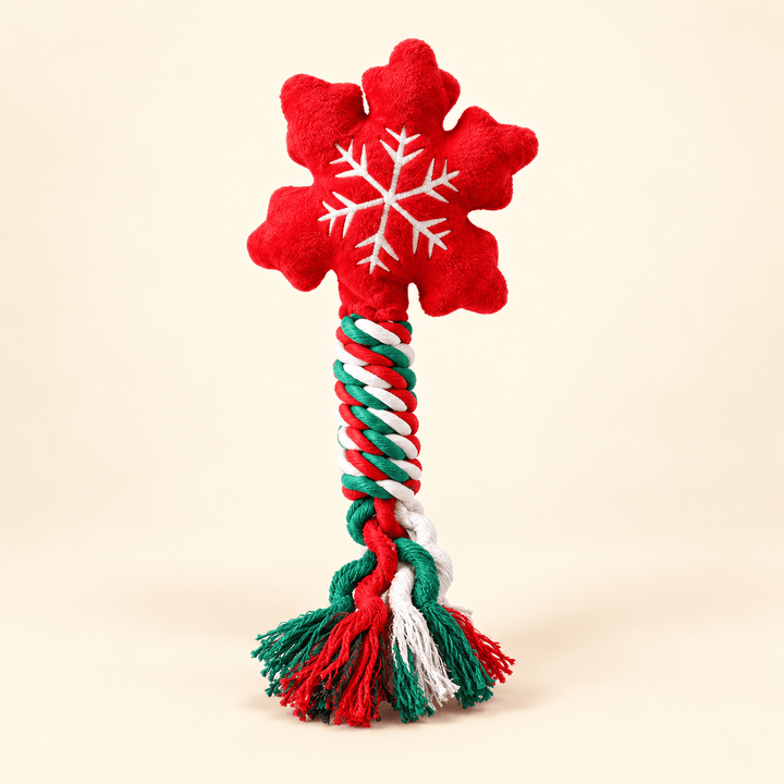 Pawtique Holiday Plush &amp; Rope Squeaky Dog Toy - Pawtique