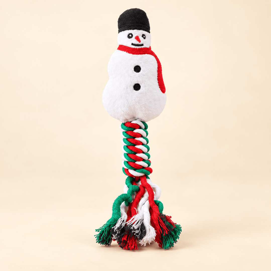 Pawtique Holiday Plush &amp; Rope Squeaky Dog Toy - Pawtique