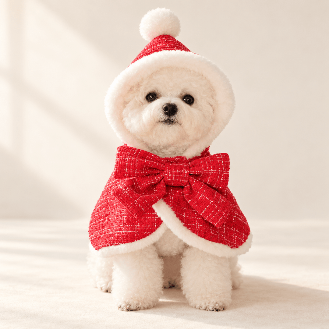 Pawtique Hollybow Christmas Dog Cape - Pawtique