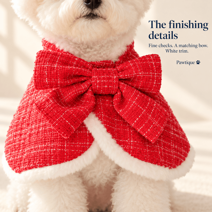 Pawtique Hollybow Christmas Dog Cape - Pawtique