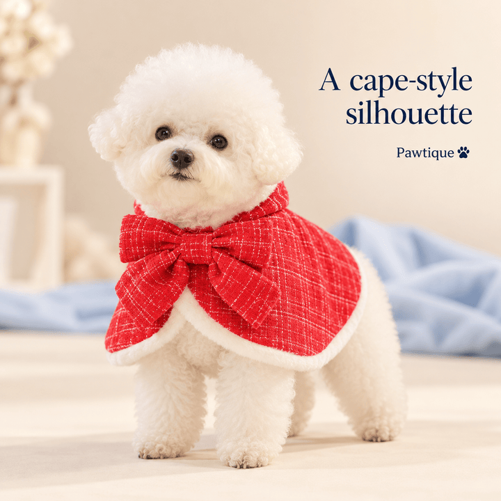 Pawtique Hollybow Christmas Dog Cape - Pawtique