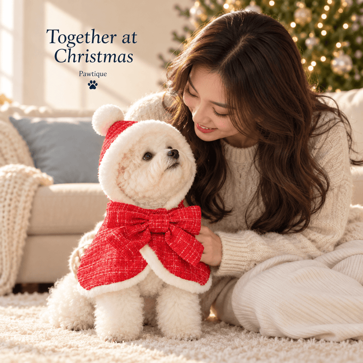 Pawtique Hollybow Christmas Dog Cape - Pawtique