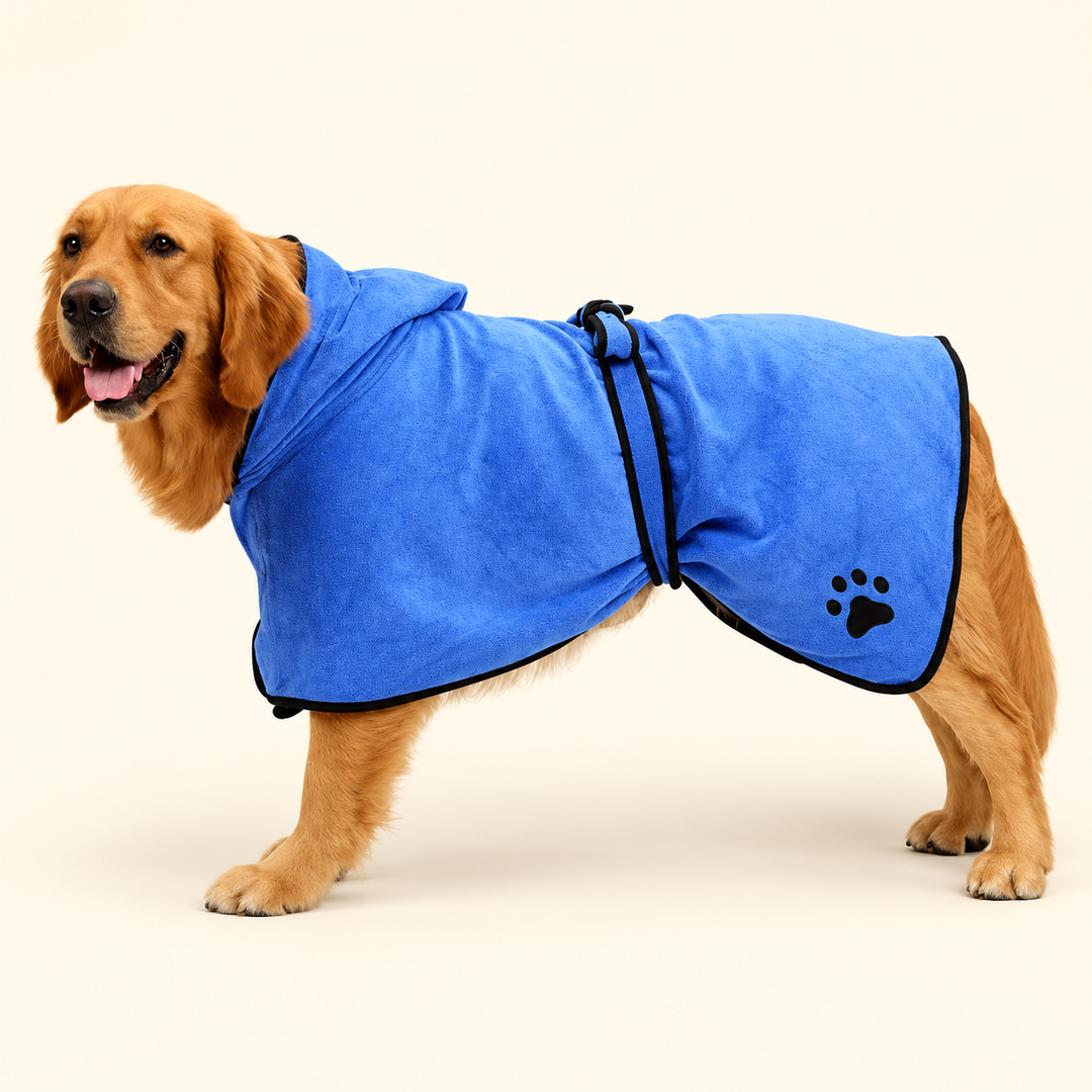 Blue hooded dog bathrobe with black piping and wrap strap on a cream background