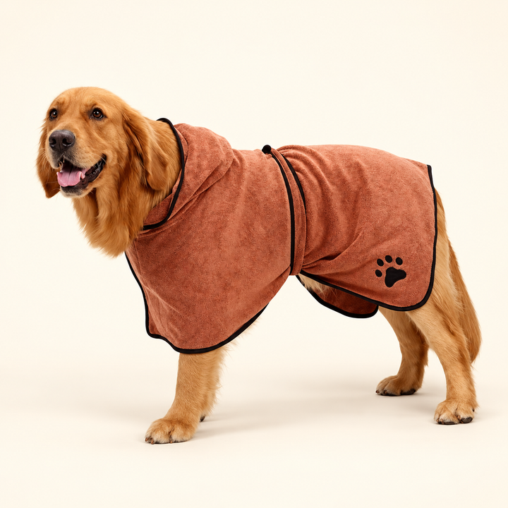 Brown hooded dog bathrobe with black piping and wrap strap on a cream background