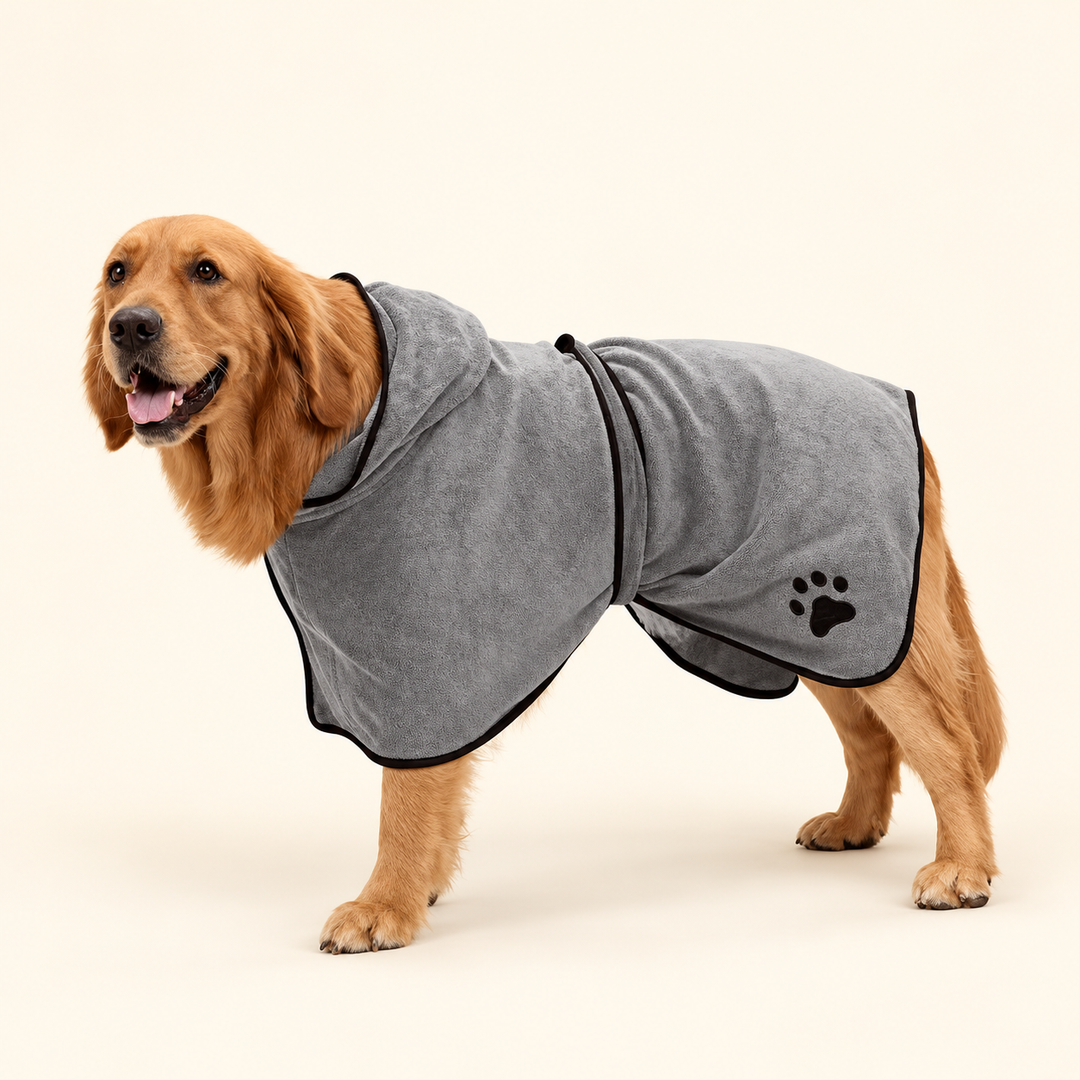 Light Grey hooded dog bathrobe with black piping and wrap strap on a cream background