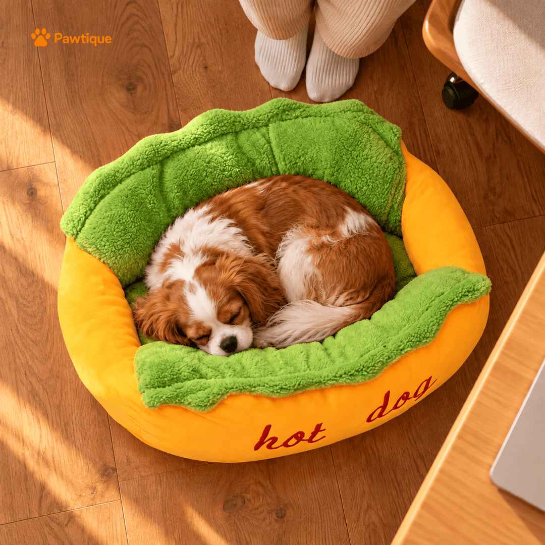 Overhead view of a small dog curled inside the Hot Dog Bolster Bed on a wood floor.