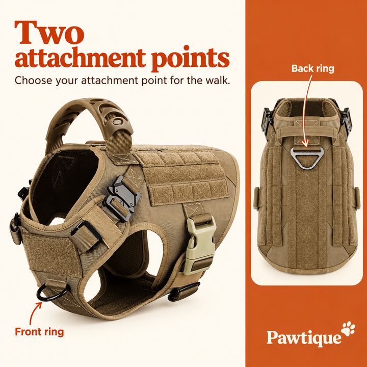 K9 harness front and back metal leash attachment points
