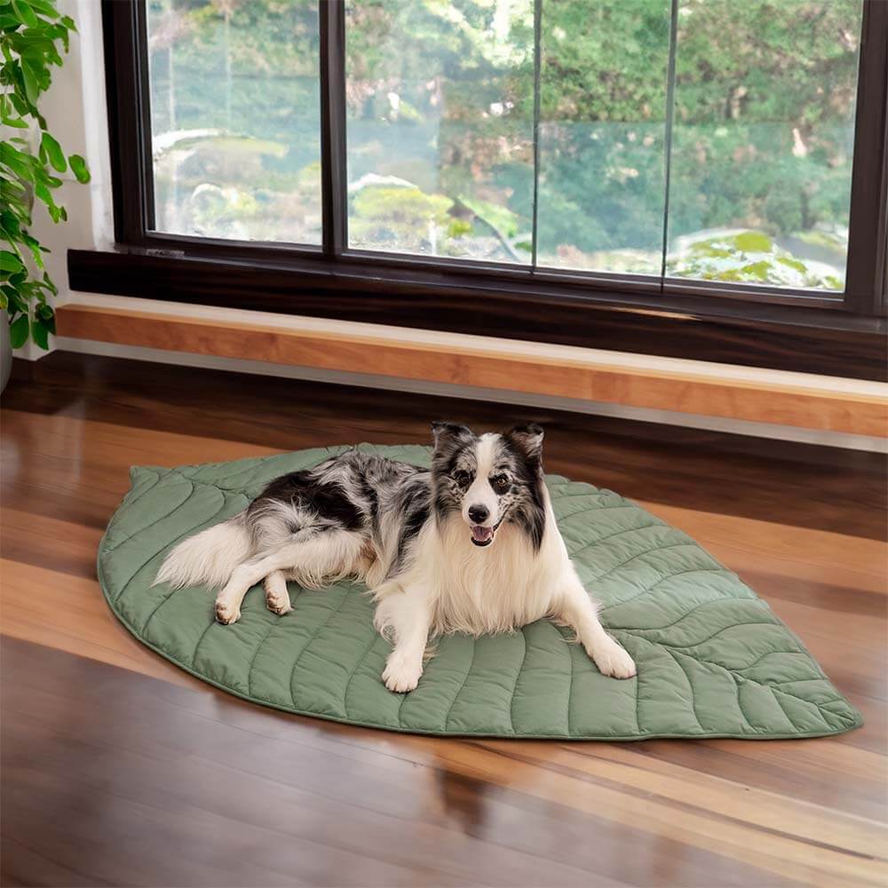 Pawtique LeafLounge™ Oversized Leaf-Shaped Pet Mat & Blanket - Pawtique