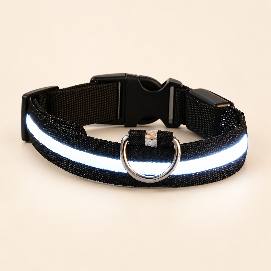 Black Pawtique LED dog collar with illuminated strip