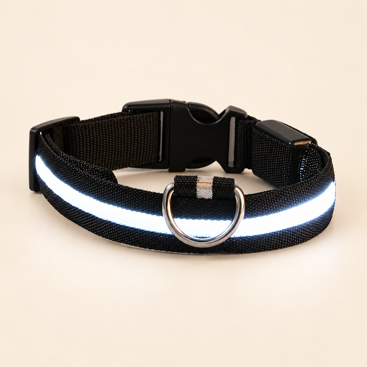 Black Pawtique LED dog collar with illuminated strip