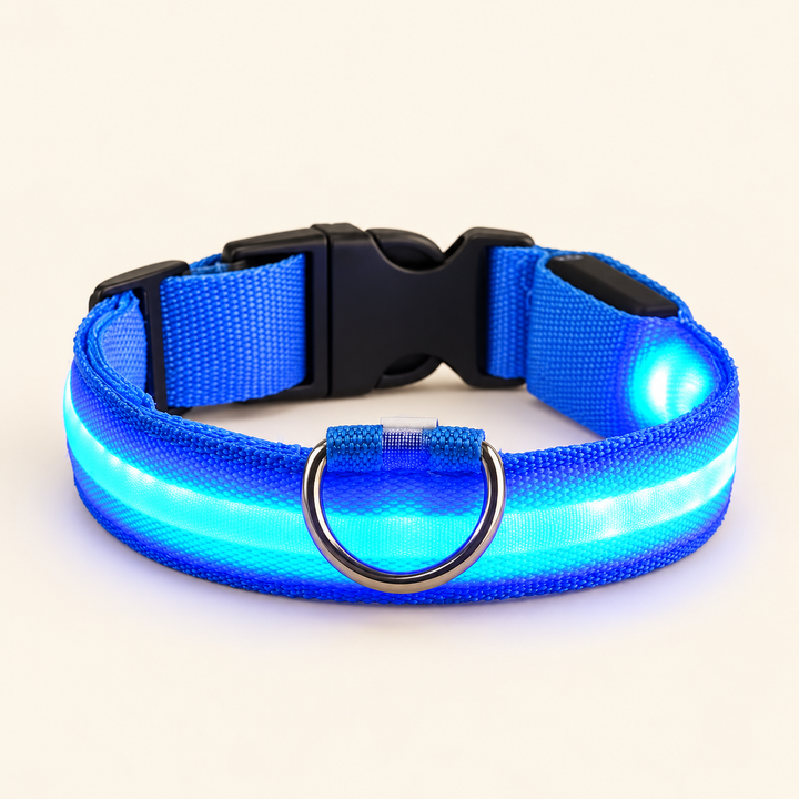 Blue Pawtique LED dog collar with illuminated strip