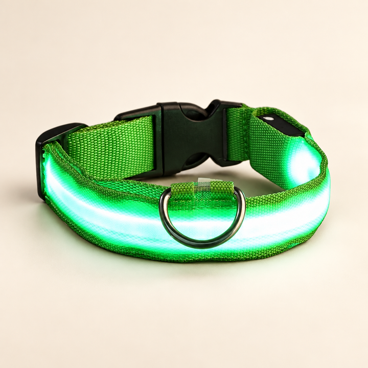 Green Pawtique LED dog collar with illuminated strip, black buckle and metal D-ring