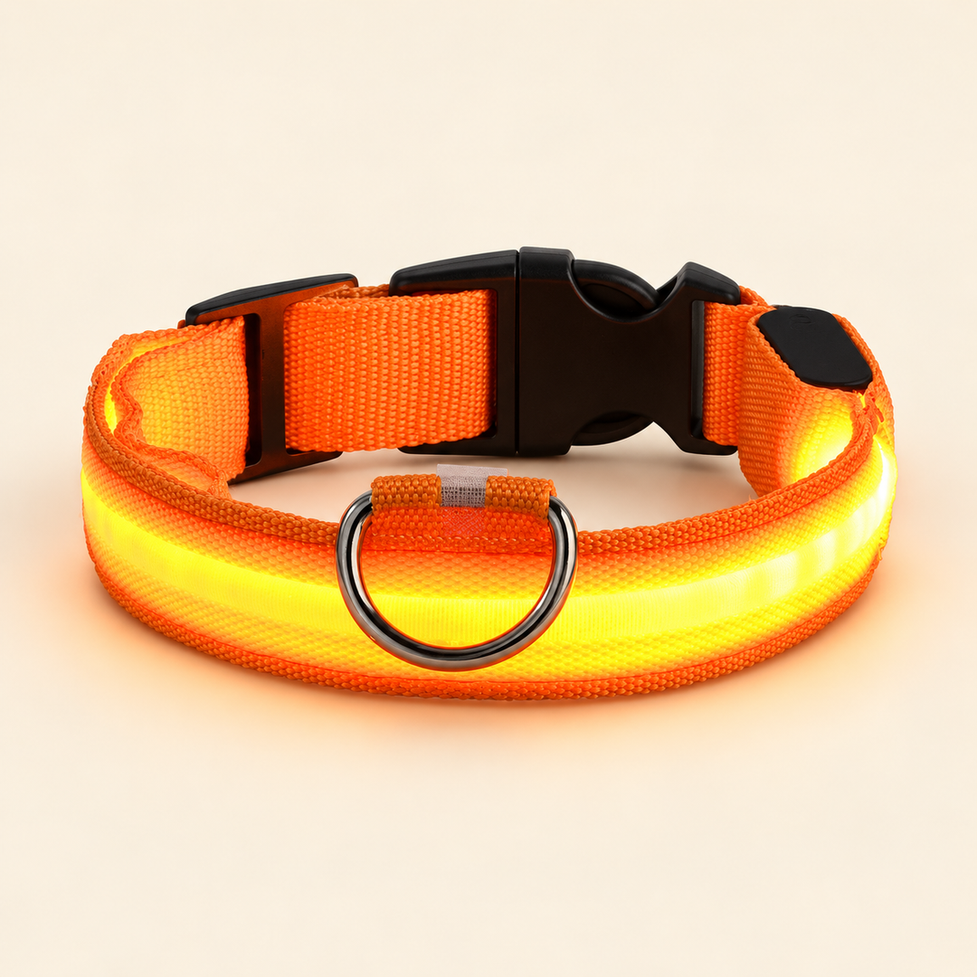 Orange Pawtique LED dog collar with illuminated strip