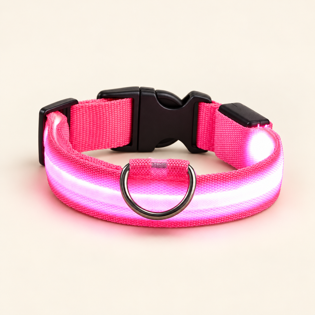 Pink Pawtique LED dog collar with illuminated strip