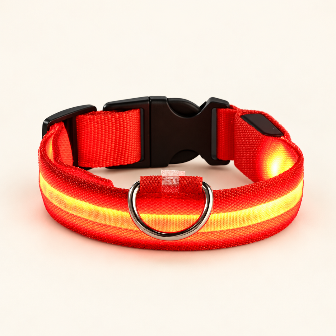Red Pawtique LED dog collar with illuminated strip
