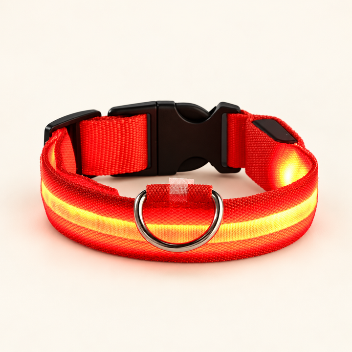 Red Pawtique LED dog collar with illuminated strip