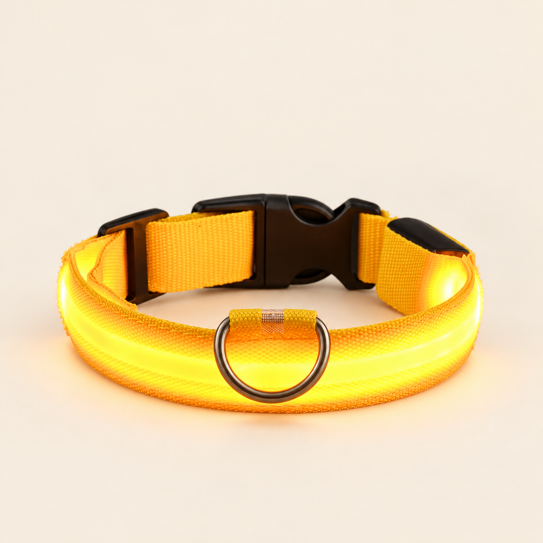 Yellow Pawtique LED dog collar with illuminated strip