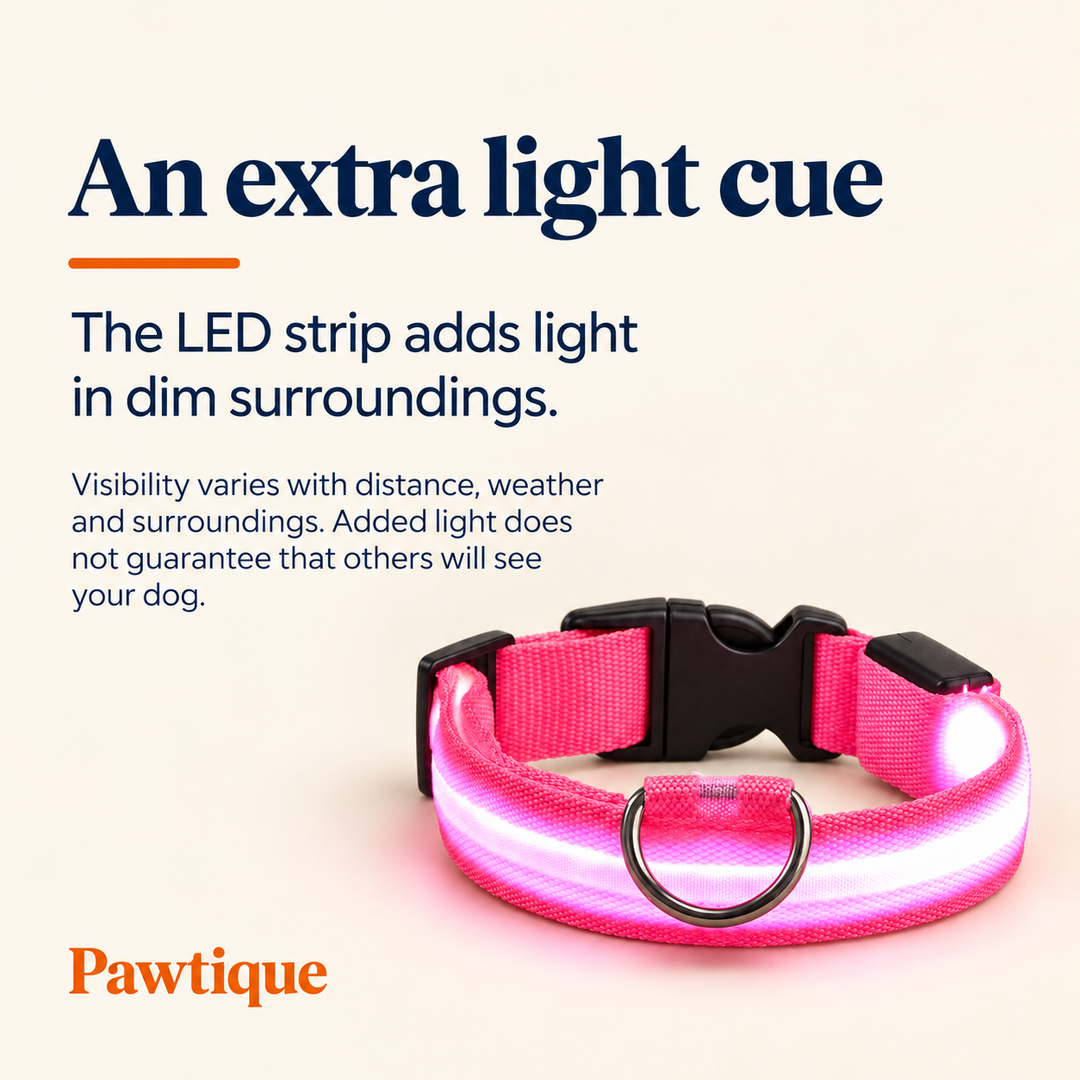 LED collar visibility limitations: extra lighting does not guarantee others will see your dog