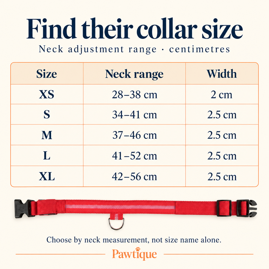 Pawtique LED dog collar size guide: XS 28–38 cm, S 34–41 cm, M 37–46 cm, L 41–52 cm, XL 42–56 cm neck ranges