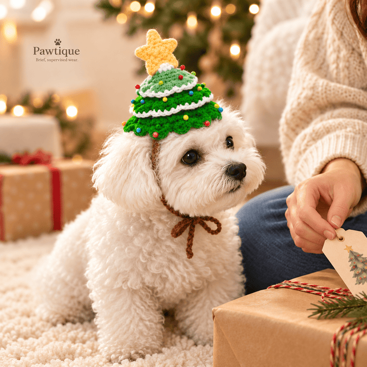 Pawtique Little Spruce Crochet Pet Hat - Pawtique