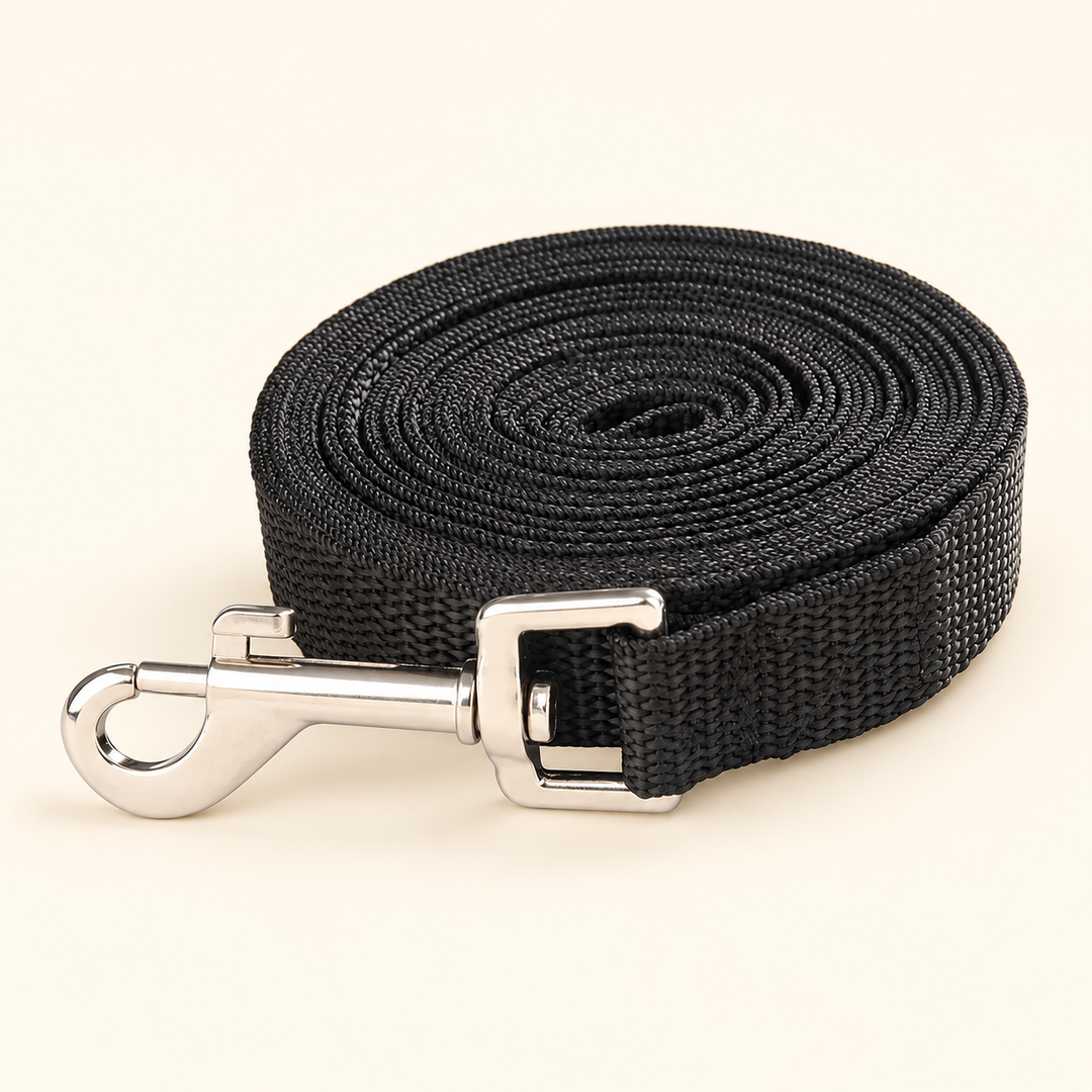 Pawtique black long-line dog training leash with silver snap clip on cream