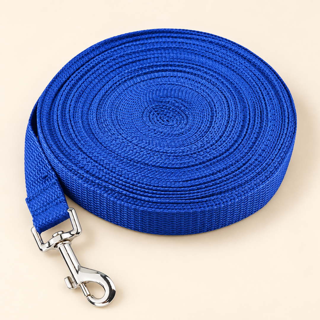 Pawtique blue long-line dog training leash with silver snap clip on cream