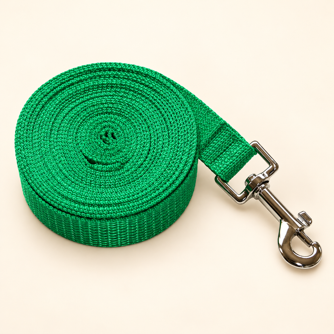 Pawtique green long-line dog training leash with silver snap clip on cream