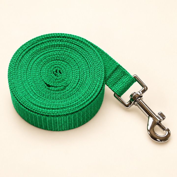 Pawtique green long-line dog training leash with silver snap clip on cream