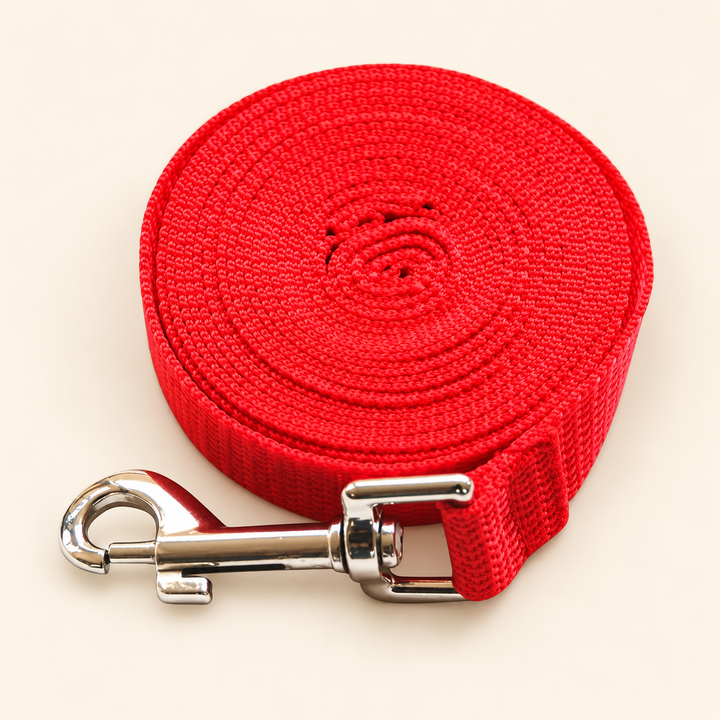 Pawtique red long-line dog training leash with silver snap clip on cream